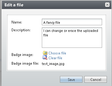 A CRM edit form showing an uploaded file that can be replaced or downloaded